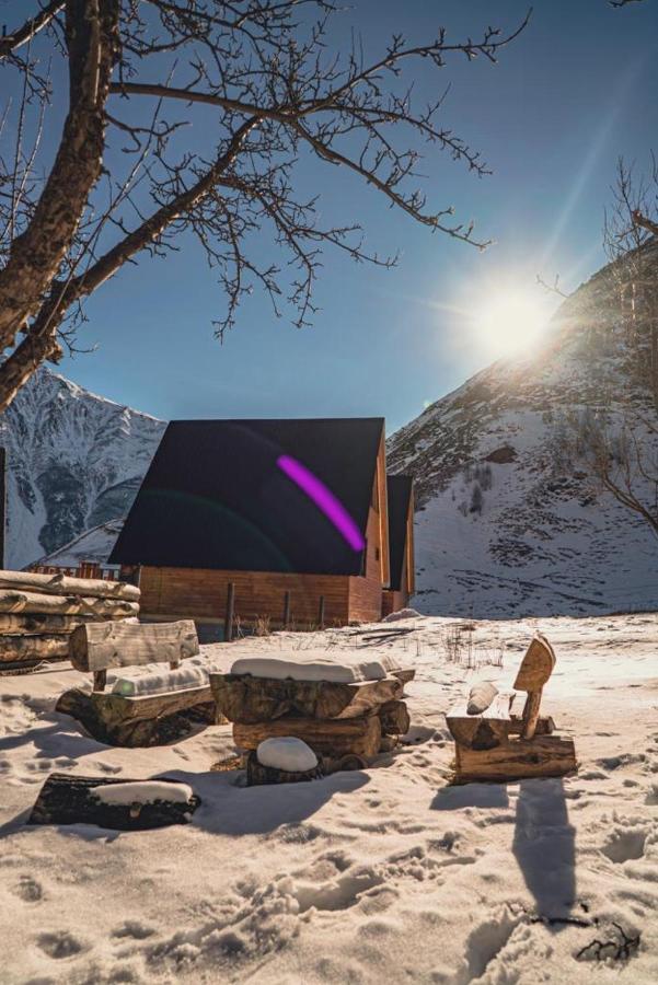 Little Wood House Gergeti Villa Kazbegi Ngoại thất bức ảnh